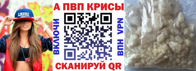 Купить закладки  Сальск  Alpha PVP СК КРИС 