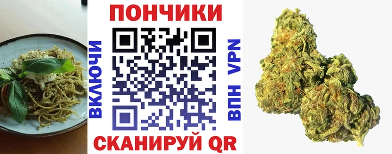 Купить где  Сальск  Canna-Cookies марихуана 